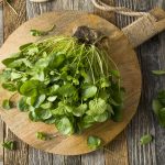 watercress